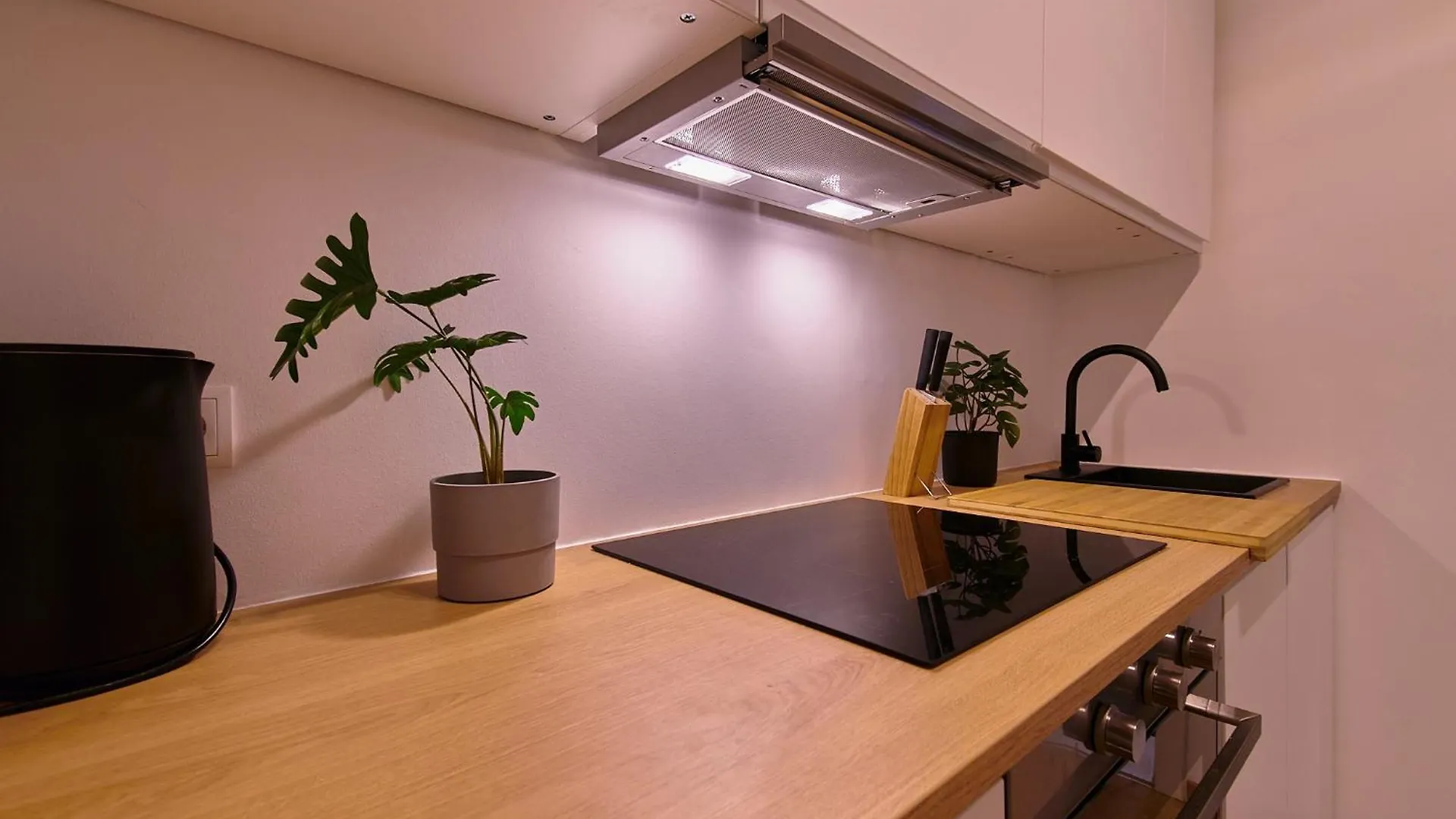 Posh Studio Apartment - Klassisch & Schick Vienna Austria